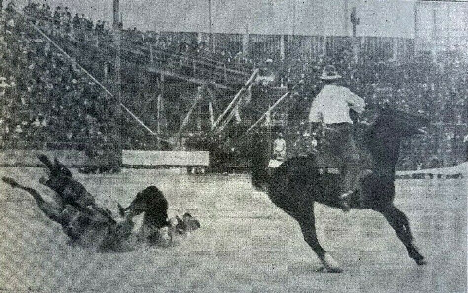 1903 World Championship Bronco Busting Contest at Denver Colorado