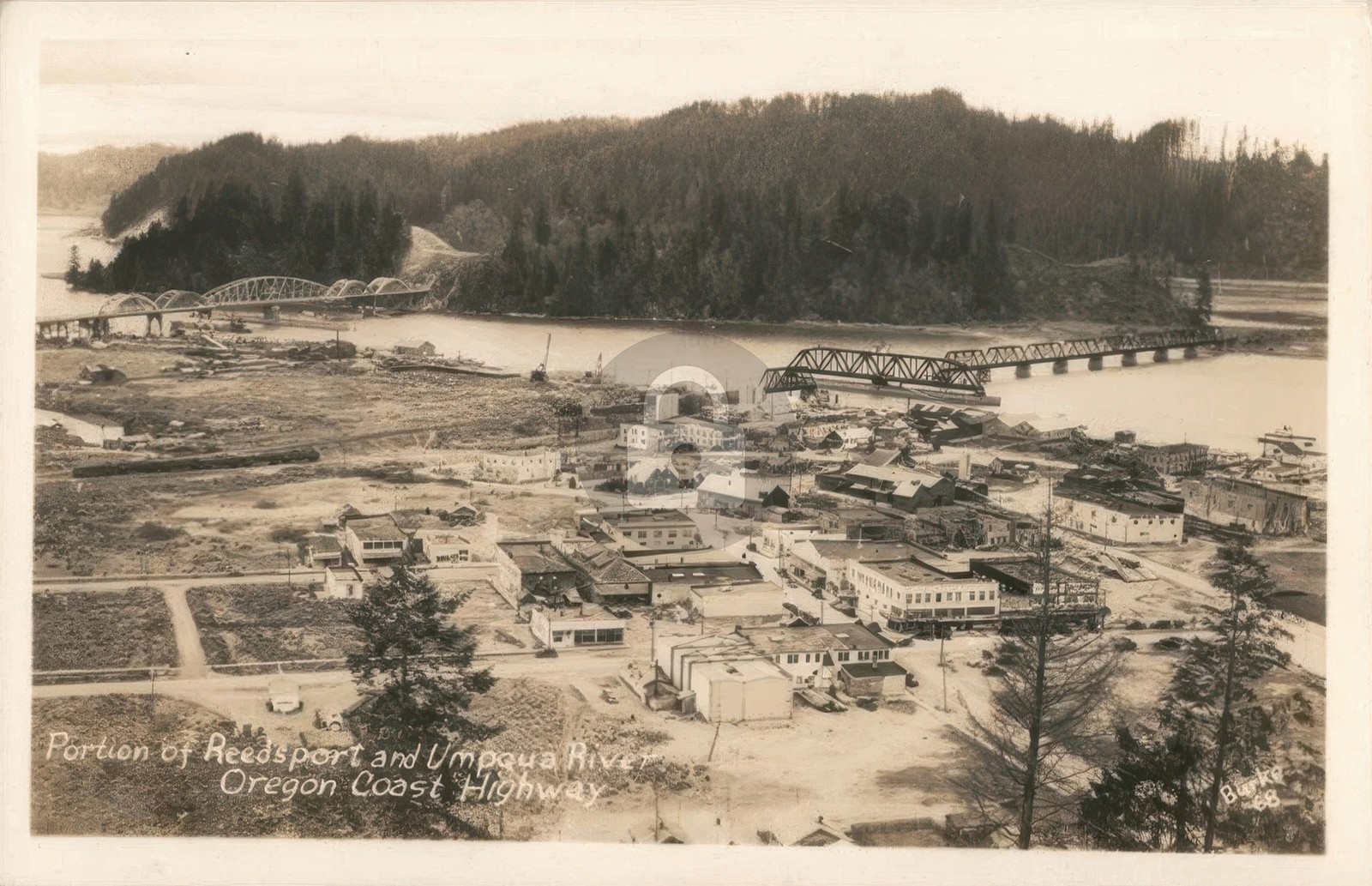 Portion of Reedsport & Umpqua River OR Oregon Burke RPPC Photo Postcard COPY Portion of Reedsport & Umpqua River OR Oregon Burke RPPC Photo Postcard COPY