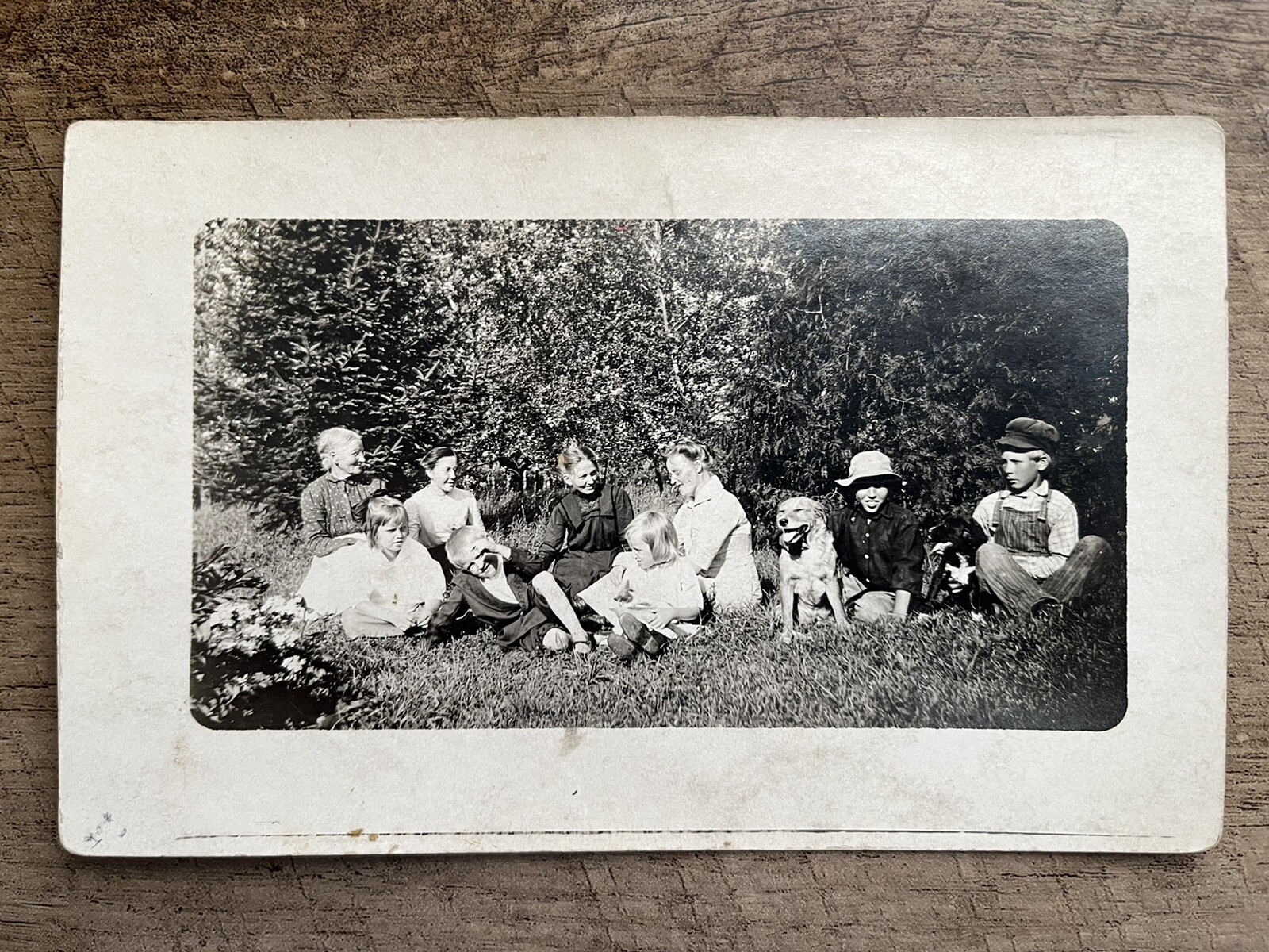 Early 1900’s Family Photo, Colfax Wheeler Dunn Co, WI Real Photo Postcard RPPC Early 1900’s Family Photo, Colfax Wheeler Dunn Co, WI Real Photo Postcard RPPC