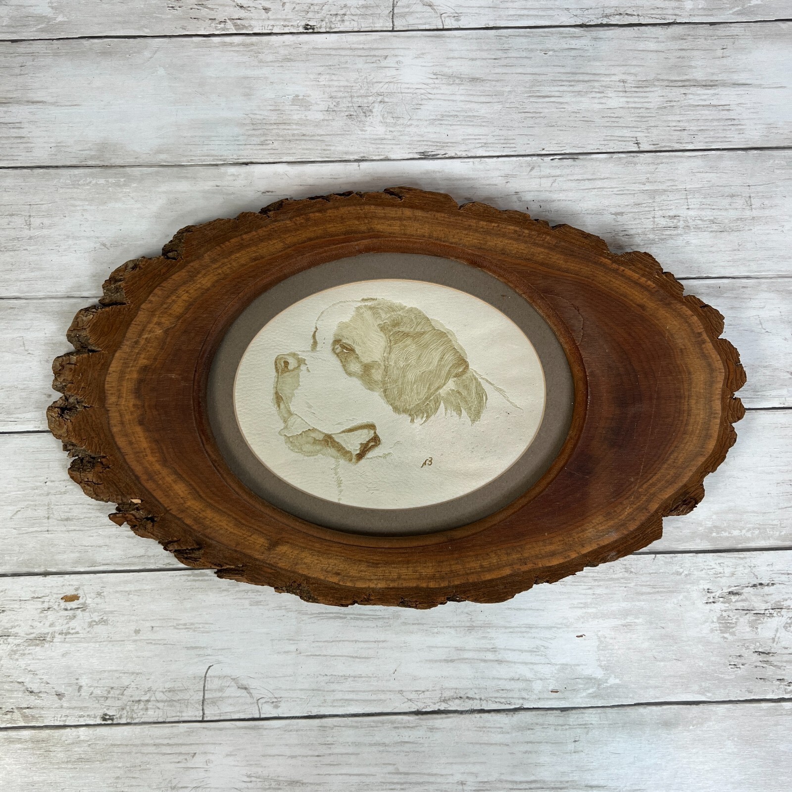 Saint Bernard Dog Art Buckskin Burning Handcrafted by BLASCHKE Wood Framed 17\