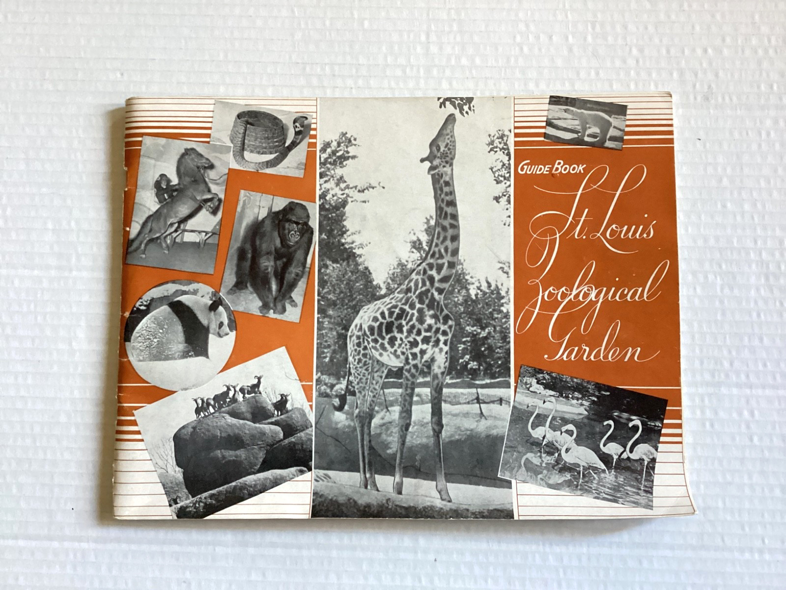 Vintage 1946 St Louis Zoological Garden Guide Book READ Vintage 1946 St Louis Zoological Garden Guide Book READ