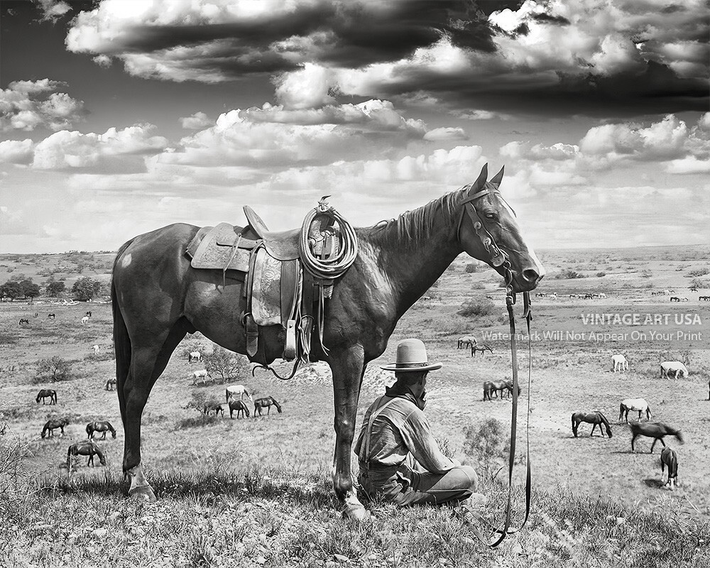 Vintage Texas Cowboy Photo 1910 Horse Wrangler Black and White 8x10 Photo Print