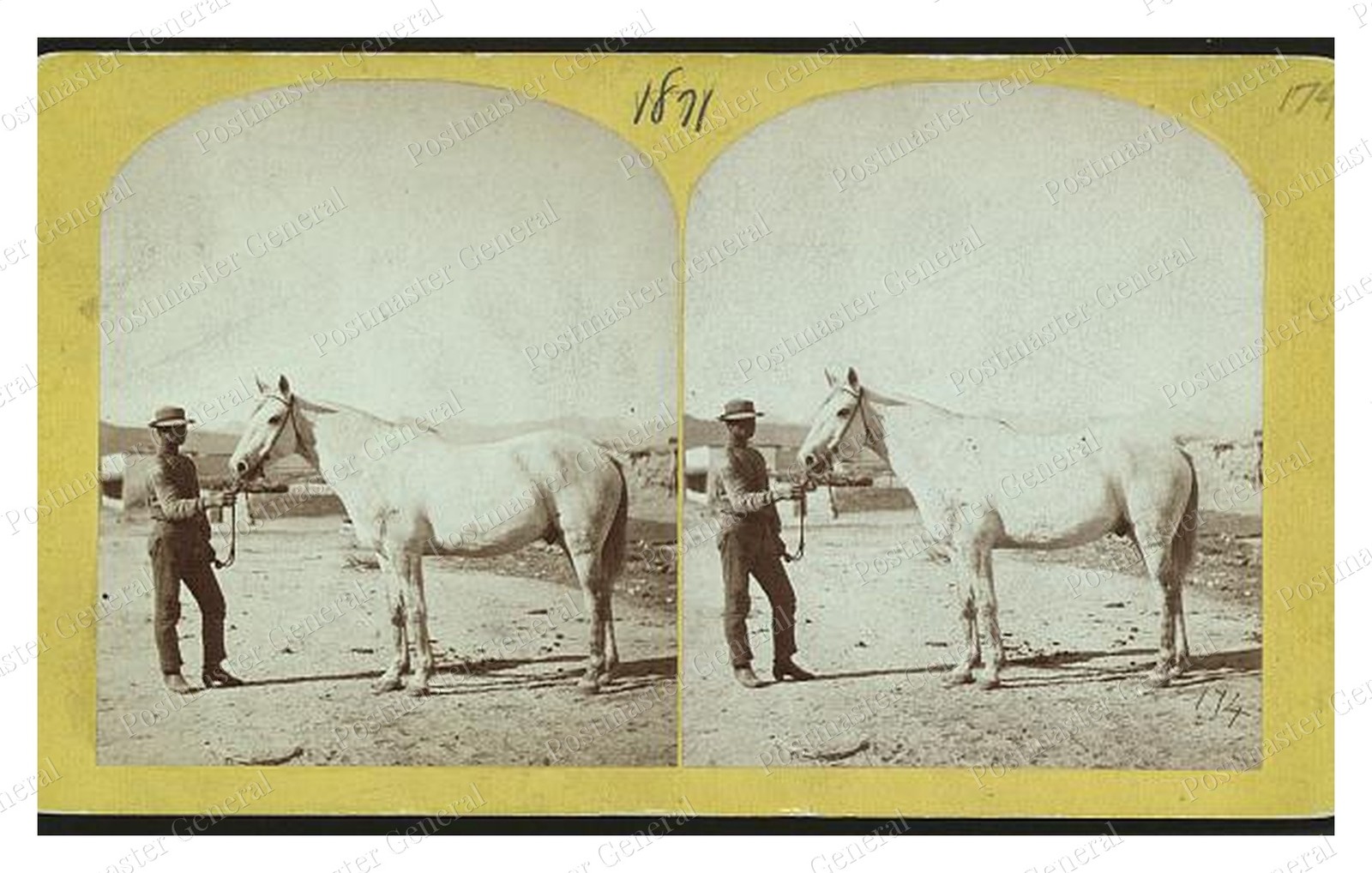 Man and Horse Standard Postcard COPY RPPC Man and Horse Standard Postcard COPY RPPC