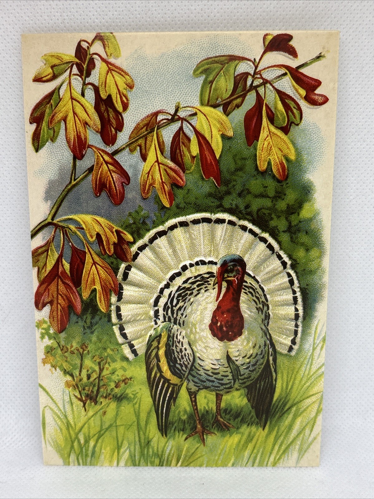 Thanksgiving Vintage Style Unused Postcard Greeting Card 4 x 6” Thanksgiving Vintage Style Unused Postcard Greeting Card 4 x 6”