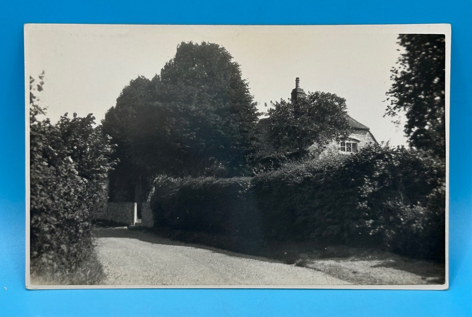 Vintage Rppc Rustic Cottage Countryside Home Real Photo Postcard Old Tree Vintage Rppc Rustic Cottage Countryside Home Real Photo Postcard Old Tree
