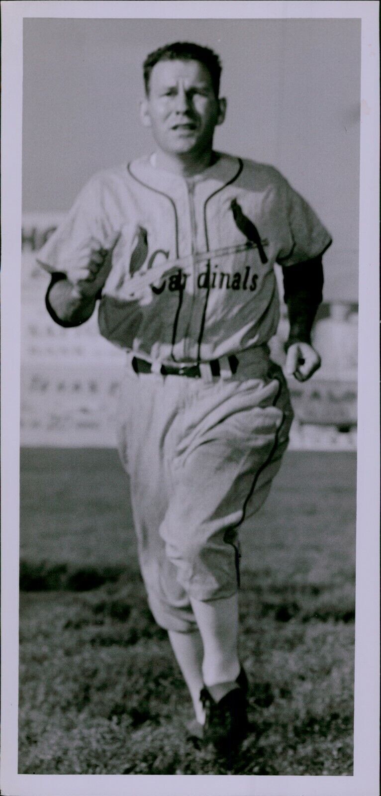 LG833 1959 Orig Photo SOLLY HEMUS St Louis Cardinals Baseball Shortstop Running