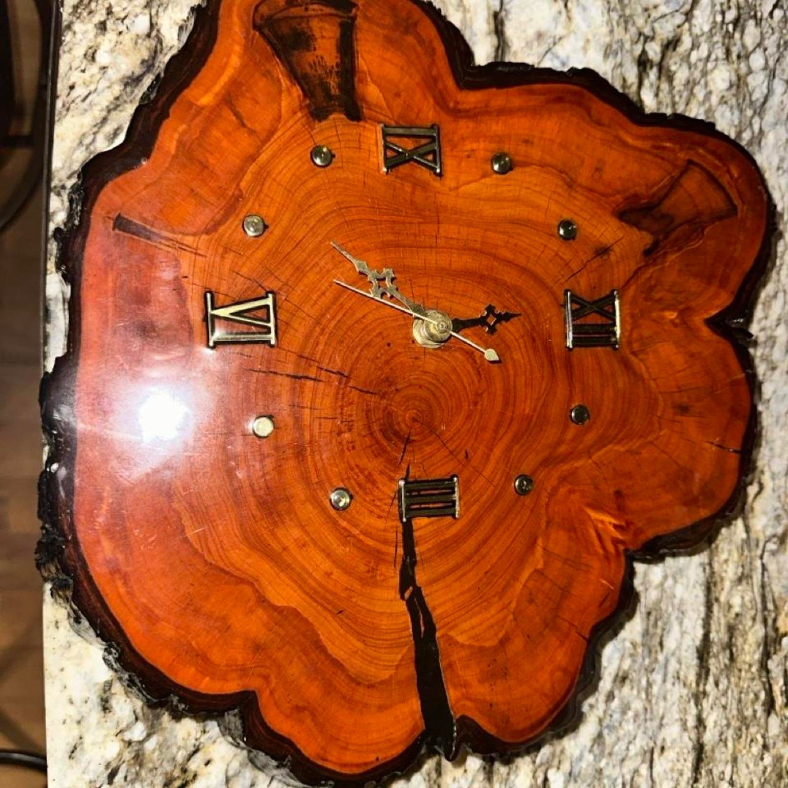 Vintage live edge wood slice wall Vintage live edge wood slice wall