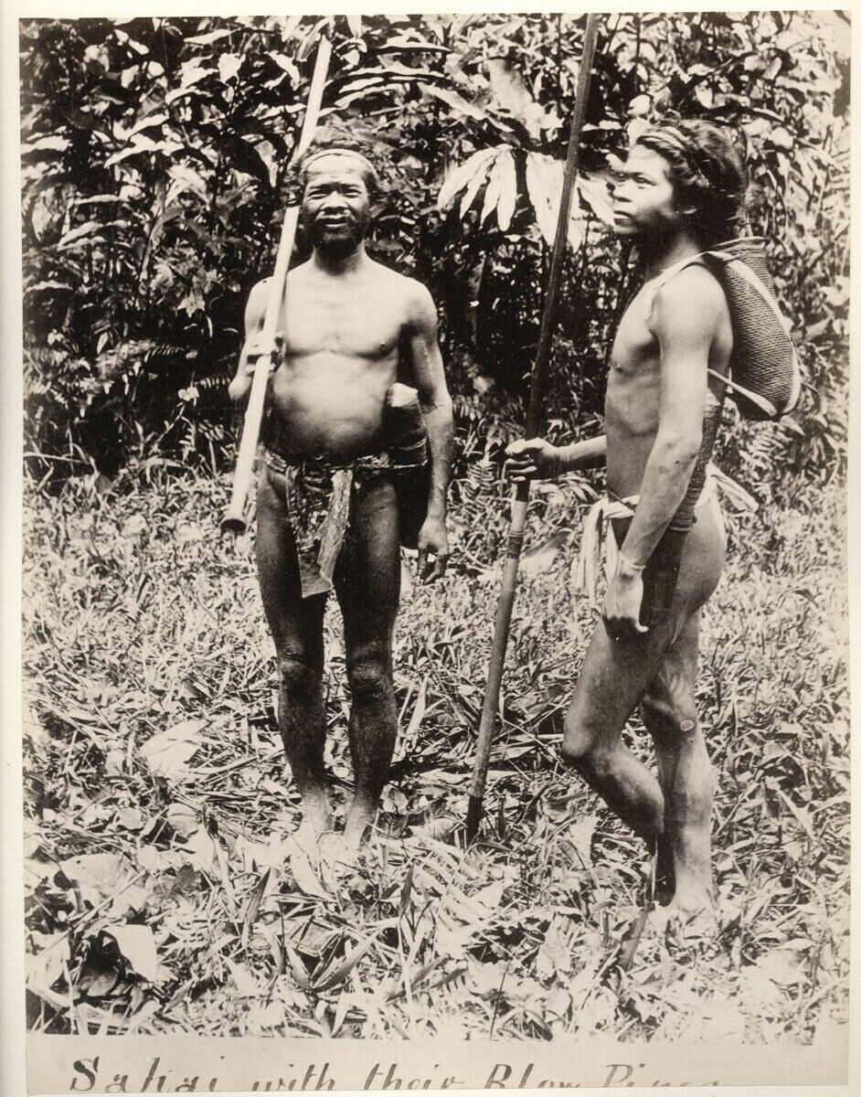 1880\'s SOUTH EAST ASIA MALAY NEGRITO INDIGENOUS SEMANG SAKAI WITH BLOW PIPES 1880\'s SOUTH EAST ASIA MALAY NEGRITO INDIGENOUS SEMANG SAKAI WITH BLOW PIPES