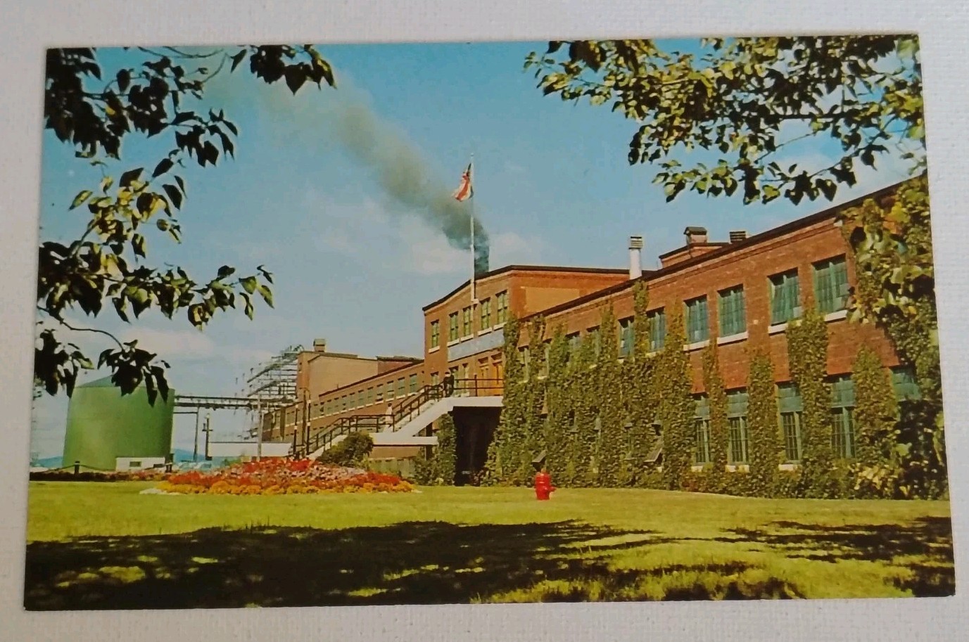 International Pulp & Paper Co. Mill new Brunswick canada dalhousie postcard International Pulp & Paper Co. Mill new Brunswick canada dalhousie postcard