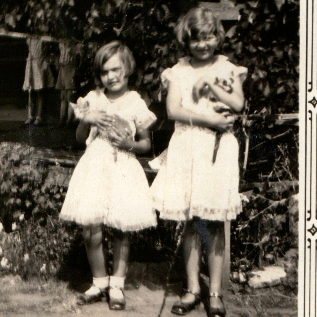 c1920s Girls Kittens Pets White Dresses Snapshot Photo Vine Porch Yard Sisters c1920s Girls Kittens Pets White Dresses Snapshot Photo Vine Porch Yard Sisters