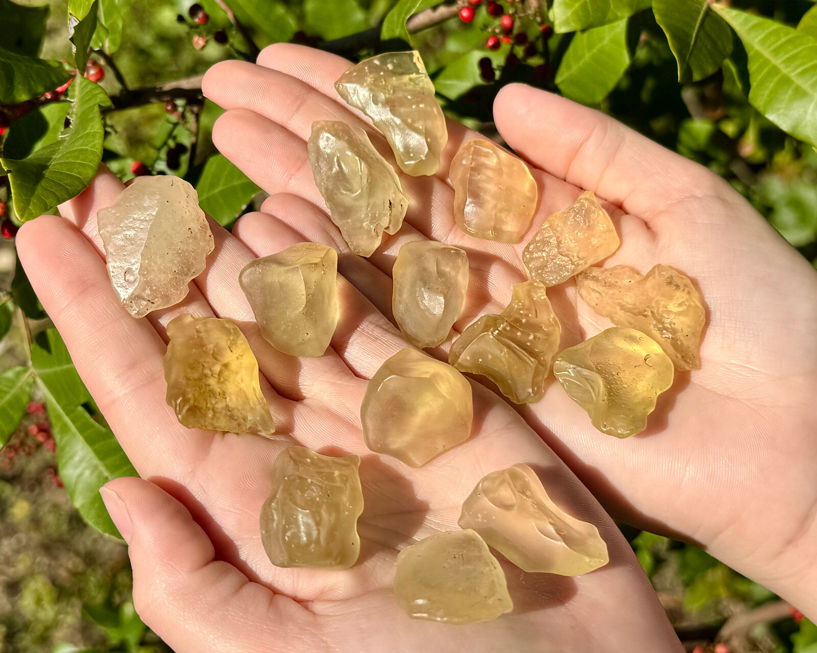 Libyan Desert Glass: Choose Size (100% Genuine Natural Libyan Gold Tektite) Libyan Desert Glass: Choose Size (100% Genuine Natural Libyan Gold Tektite)