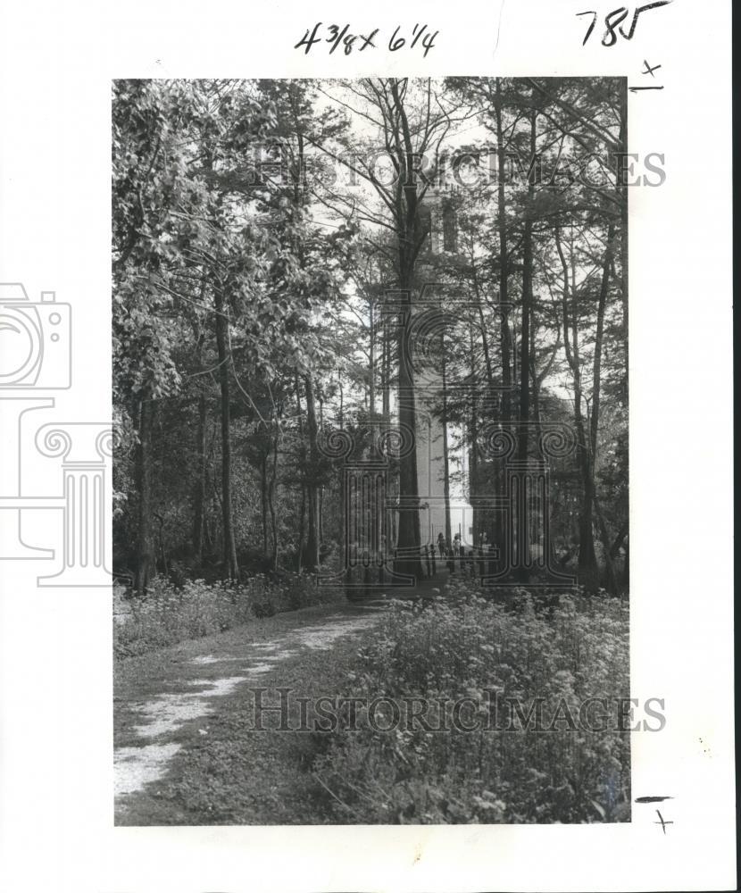 1977 Press Photo Pathway Through Brownell Memorial Park - nox07996 1977 Press Photo Pathway Through Brownell Memorial Park - nox07996