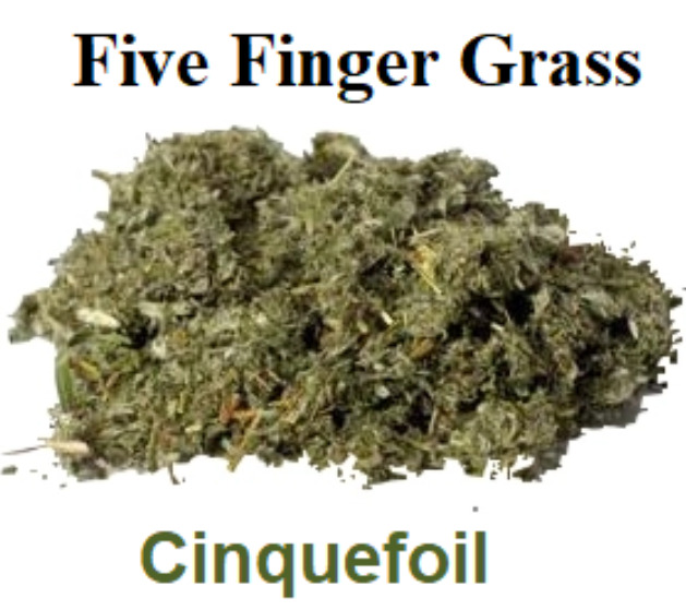 Five Finger Grass Herb (Cinquefoil) 1oz - Money, Love, Health, Wisdom, and Power