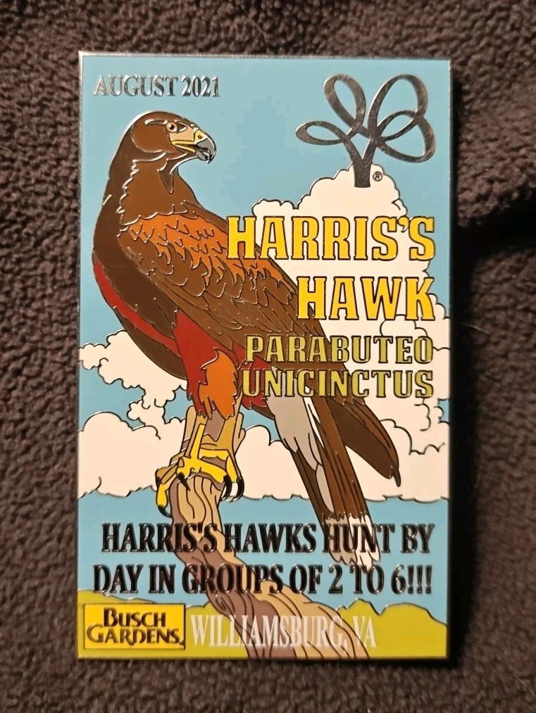 2021 August Busch Gardens Williamsburg Limited Edition of 300 Harris's Hawk Pin 2021 August Busch Gardens Williamsburg Limited Edition of 300 Harris's Hawk Pin