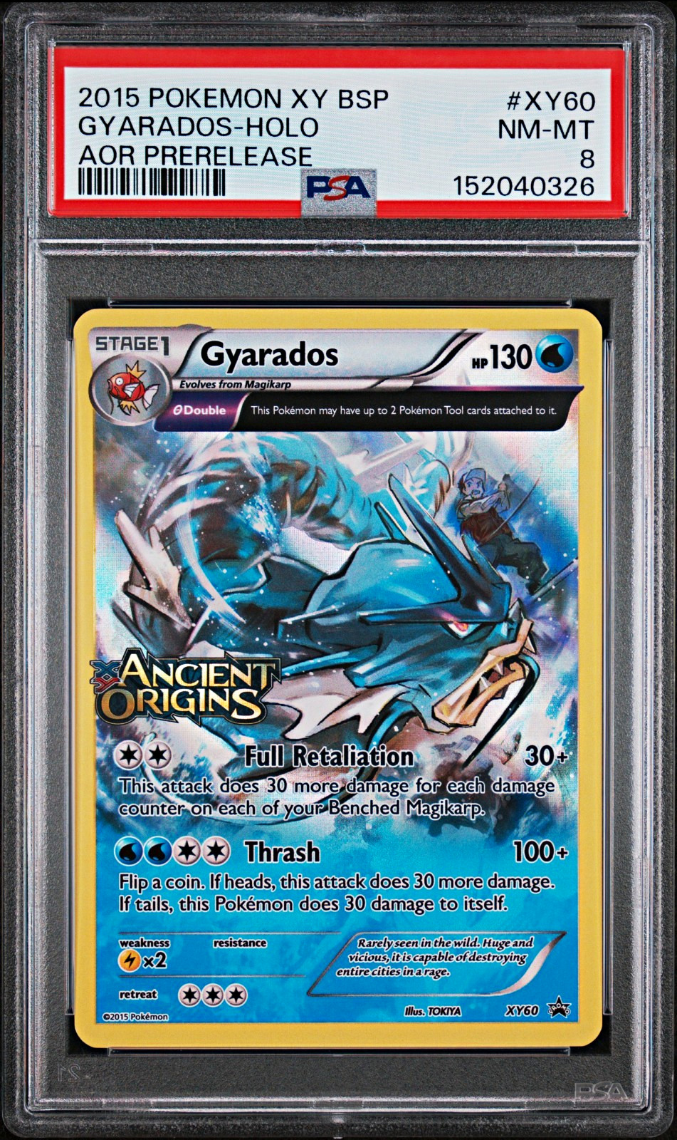 Pokémon XY Ancient Origins Gyarados Prerelease Holo #XY60 PSA 8 Cert 152040326 Pokémon XY Ancient Origins Gyarados Prerelease Holo #XY60 PSA 8 Cert 152040326