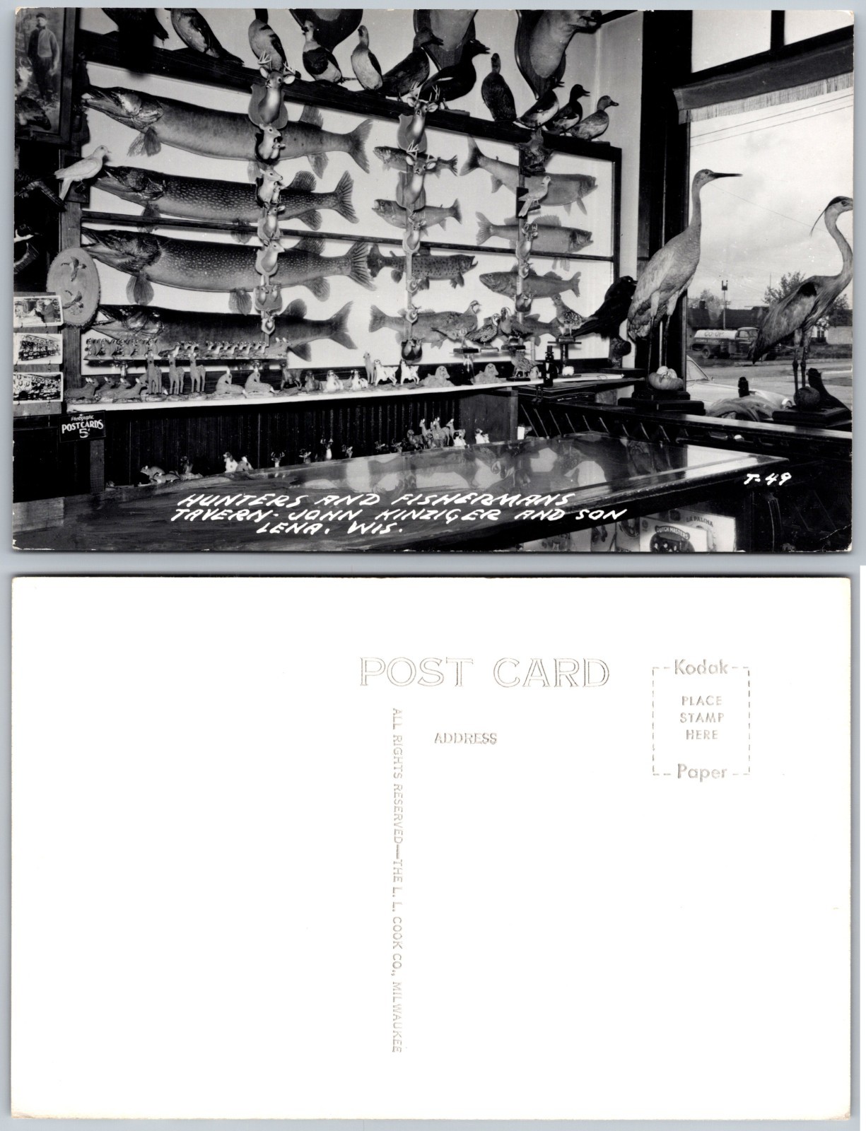RPPC Lena WI Tavern Taxidermy Photo Postcard RPPC Lena WI Tavern Taxidermy Photo Postcard