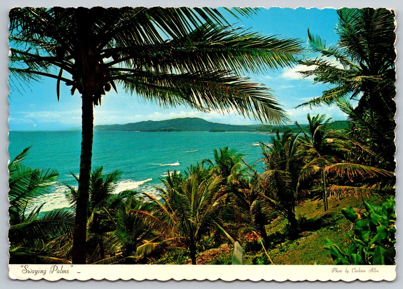 Postcard C 529, Swaying Palms, Jamaica West Indies, Great beach & coastline. Postcard C 529, Swaying Palms, Jamaica West Indies, Great beach & coastline.