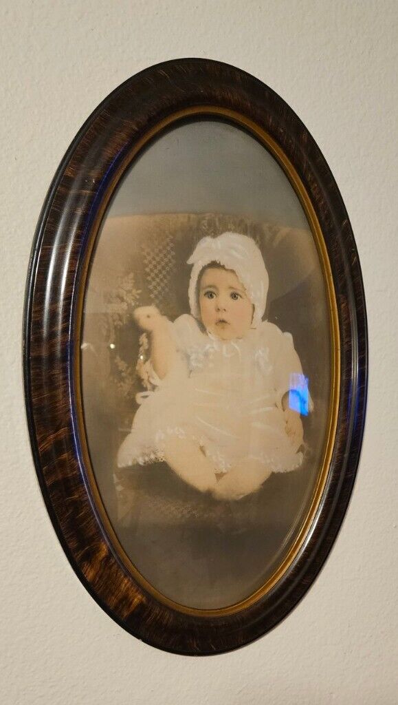 Antique Victorian Oval Frame Bubble Glass Baby Portrait Tiger Frame 22x15 Convex