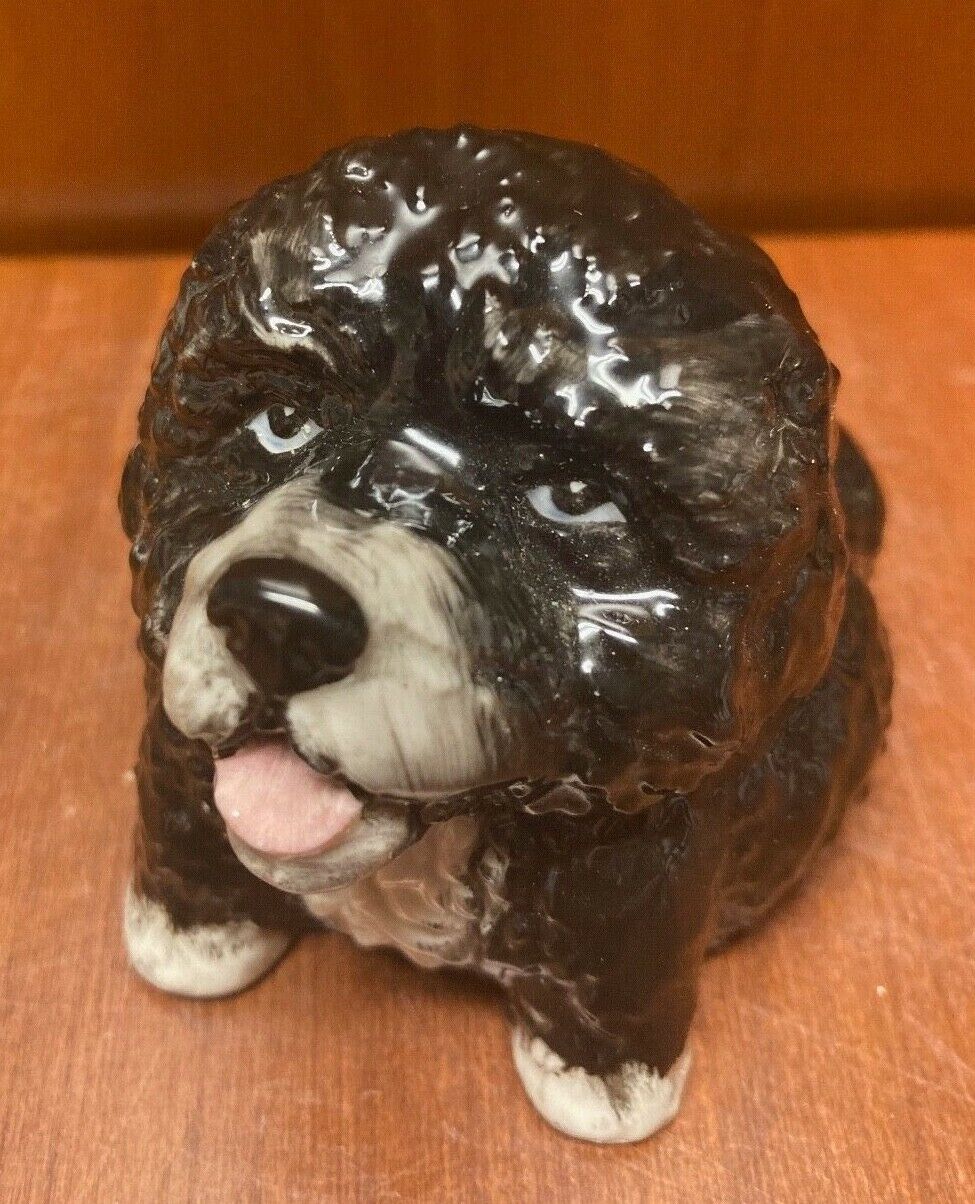 Kevin Francis Face Pot- Black Portuguese Water Dog ADORABLE