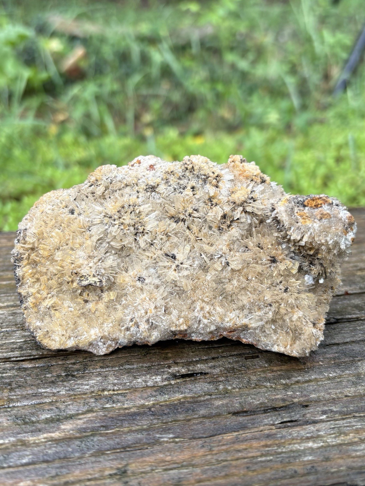 Large Natural Hemimorphite Specimen- Beautiful 4.3” Golden Hemimorphite Crystals Large Natural Hemimorphite Specimen- Beautiful 4.3” Golden Hemimorphite Crystals