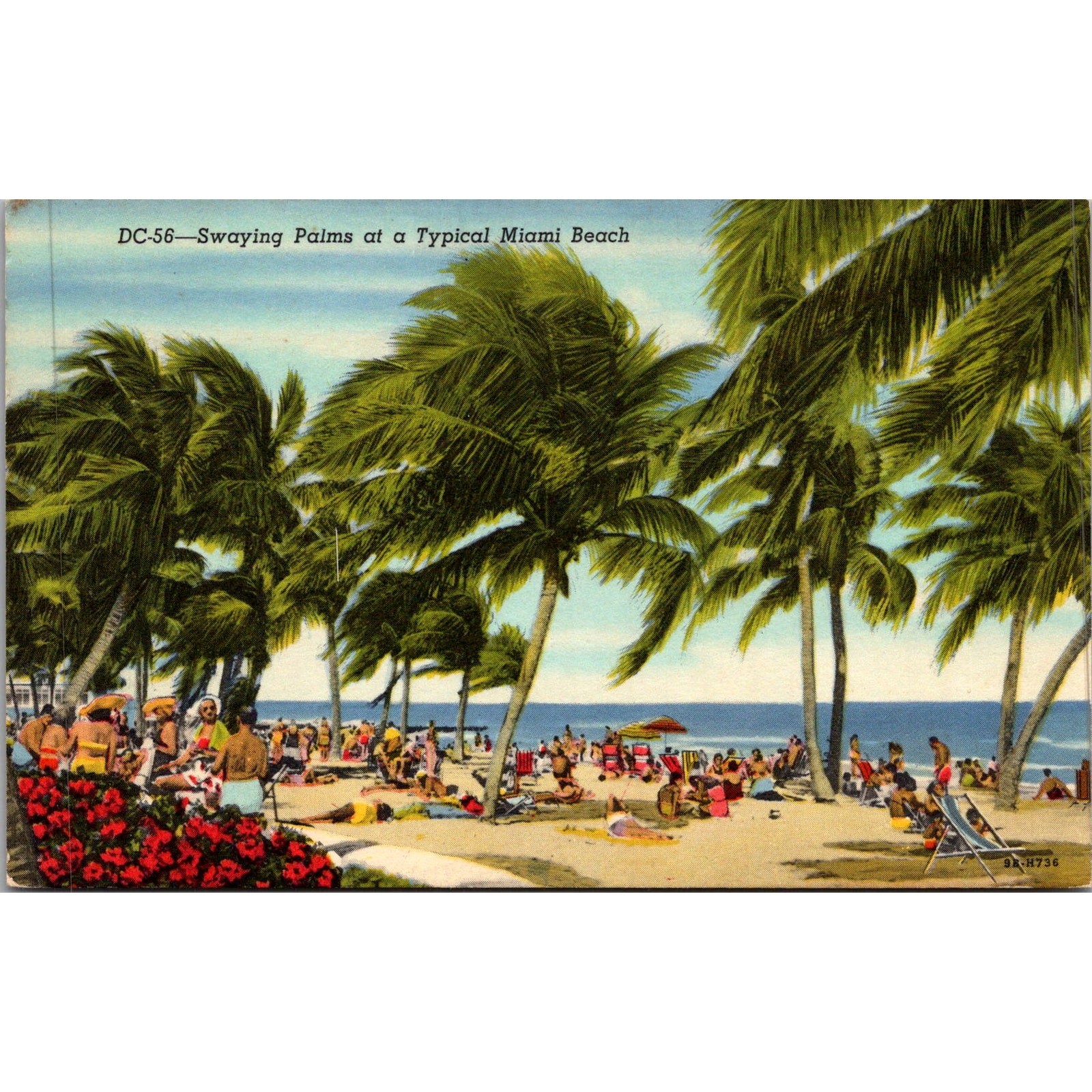 Swaying Palms At A Typical Miami Beach FL Vintage Postcard SP17-22 Swaying Palms At A Typical Miami Beach FL Vintage Postcard SP17-22