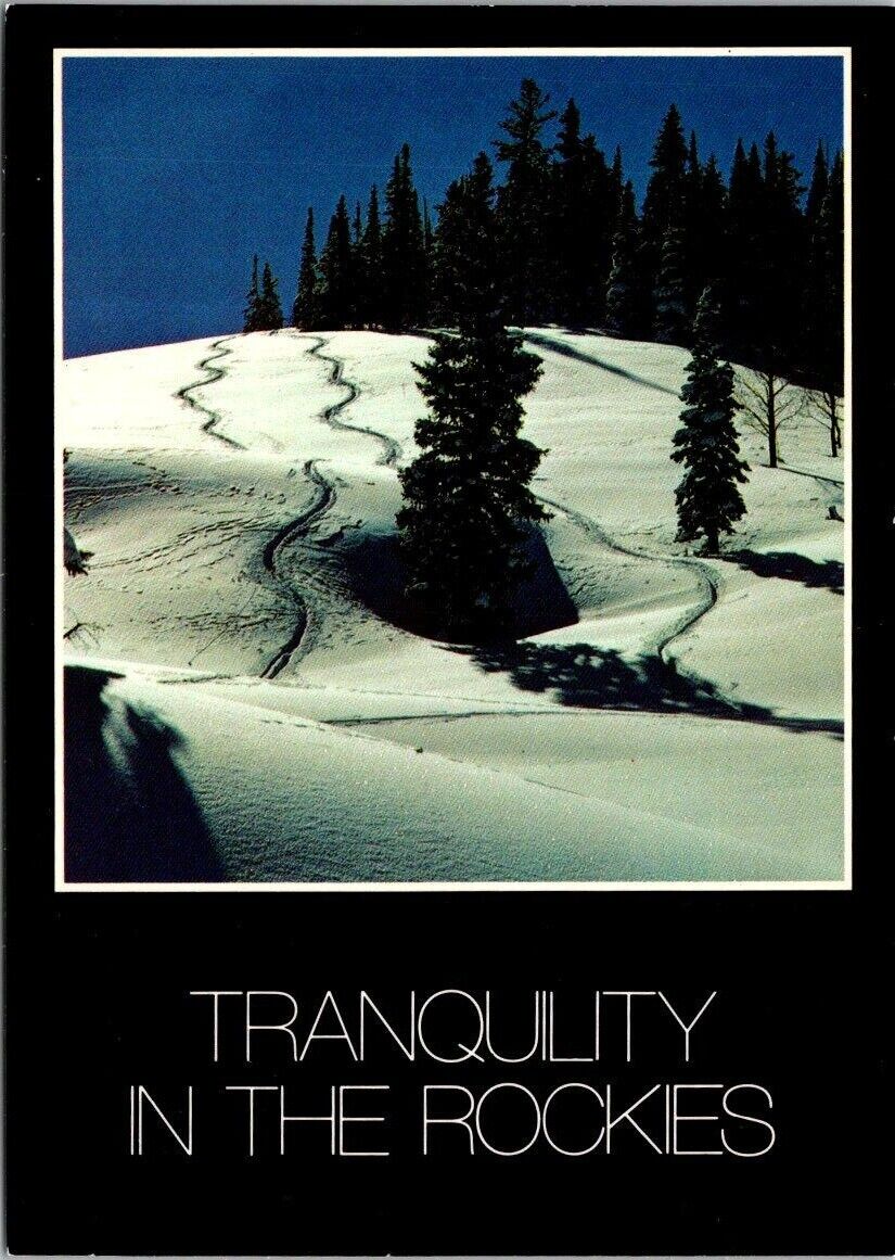 Vtg Colorado Rockies- Winter Scene-Tranquility in the Rockies Postcard