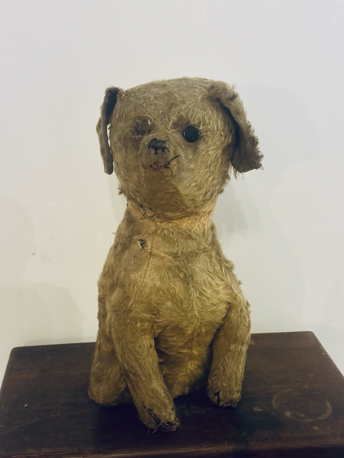Antique Early 20th Century C1910 Large Mohair Dog  40cm Authentic Vintage Rare