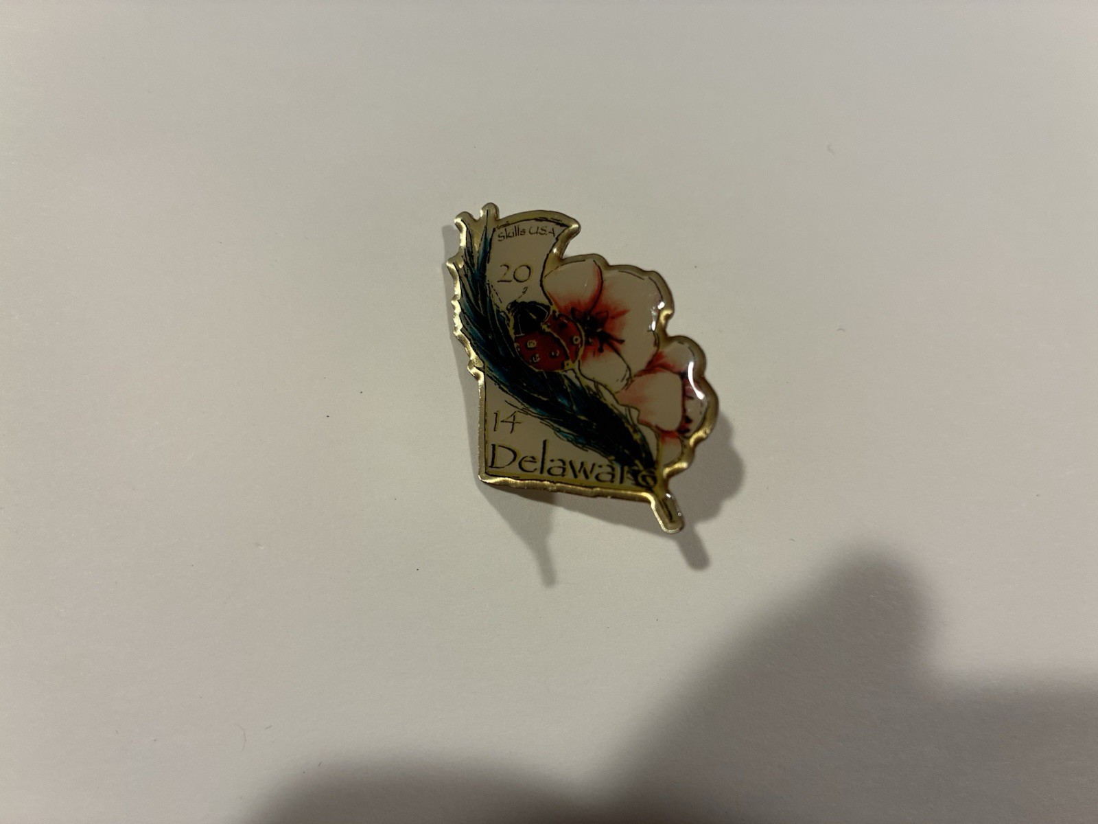 Skills USA Delaware 2014 Lapel Pin