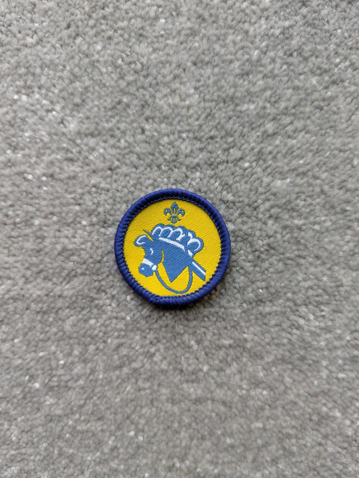 Beaver Scout Hobbies Activity Badge Old Logo New