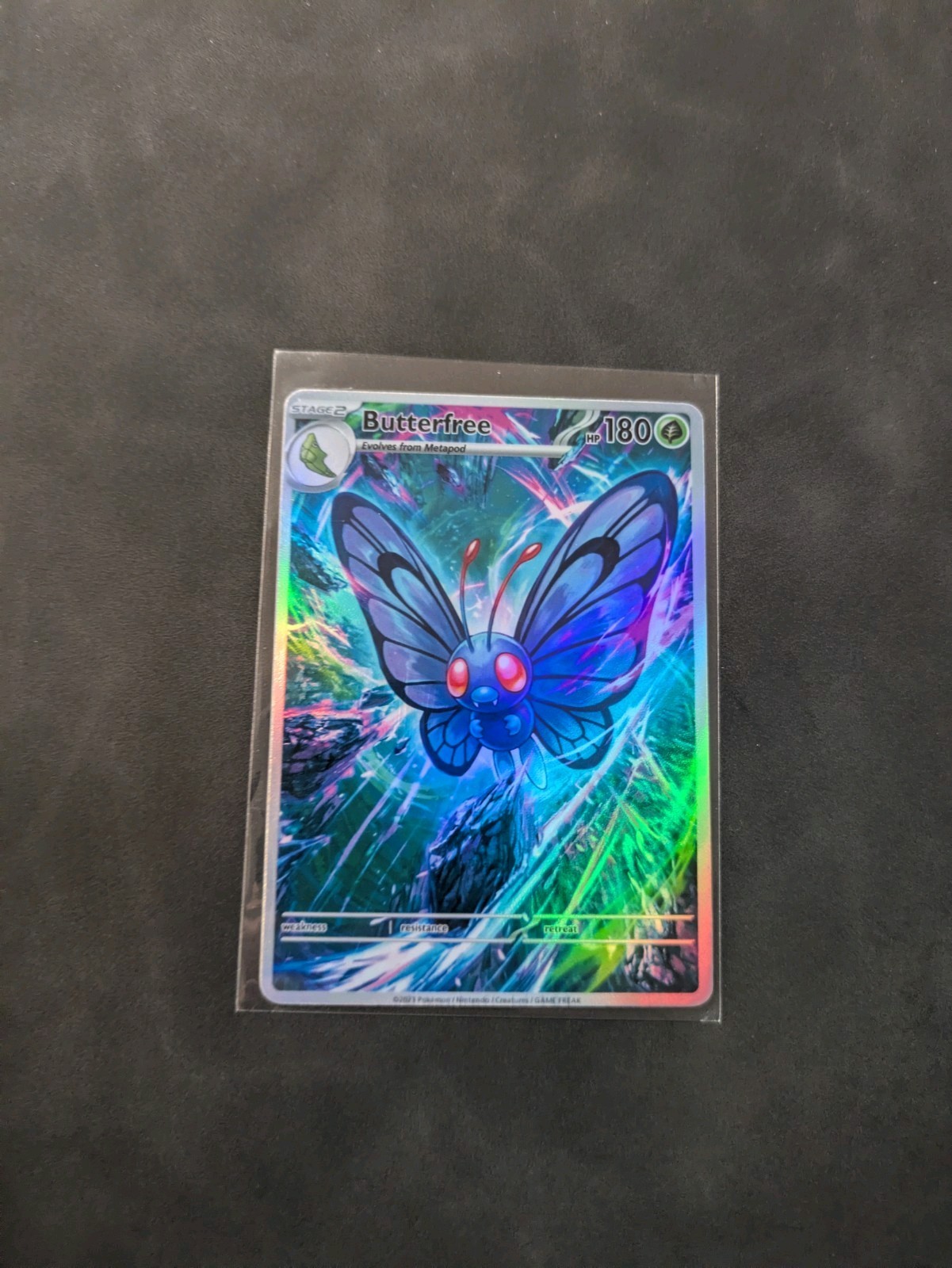 Dramatic Butterfree Holographic Display Card Dramatic Butterfree Holographic Display Card