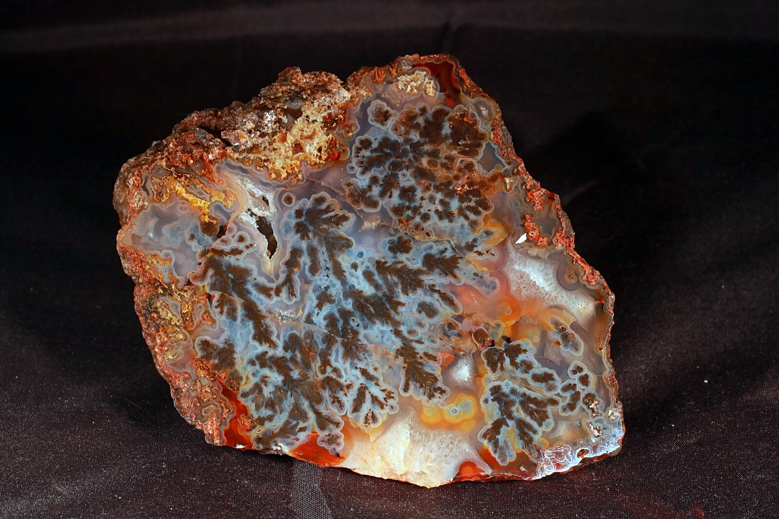 Polished Turkish Dendritic Agate Pair Polished Turkish Dendritic Agate Pair