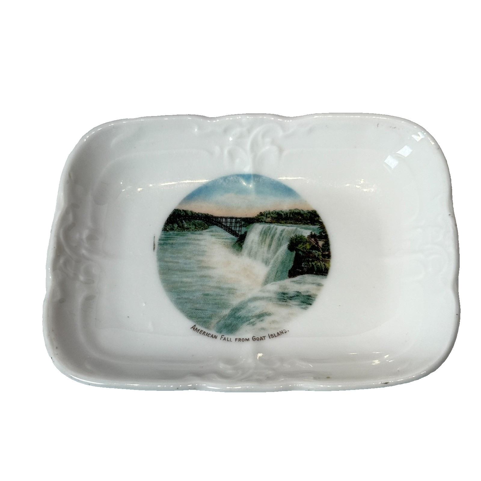 AMERICAN FALL - GOAT ISLAND NY NEW YORK Souvenir ANTIQUE CHINA DISH AMERICAN FALL - GOAT ISLAND NY NEW YORK Souvenir ANTIQUE CHINA DISH