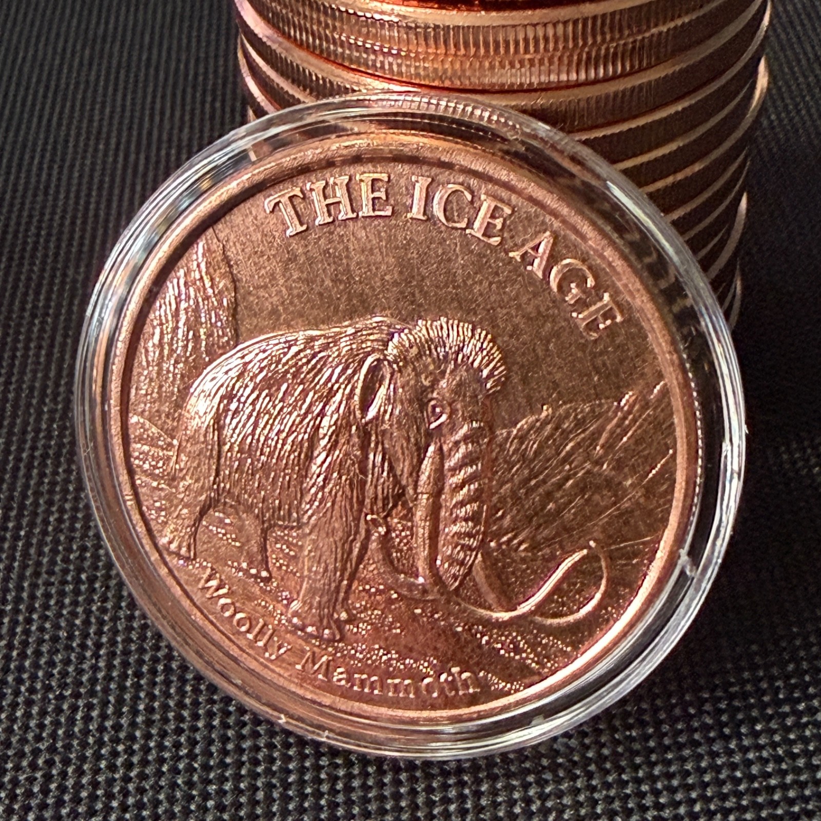 Ice Age Woolly Mammoth 1 oz .999 Copper Round in Capsule – Prehistoric Series