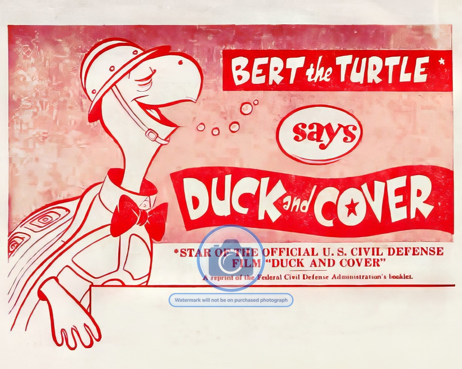 BERT THE TURTLE \ BERT THE TURTLE \