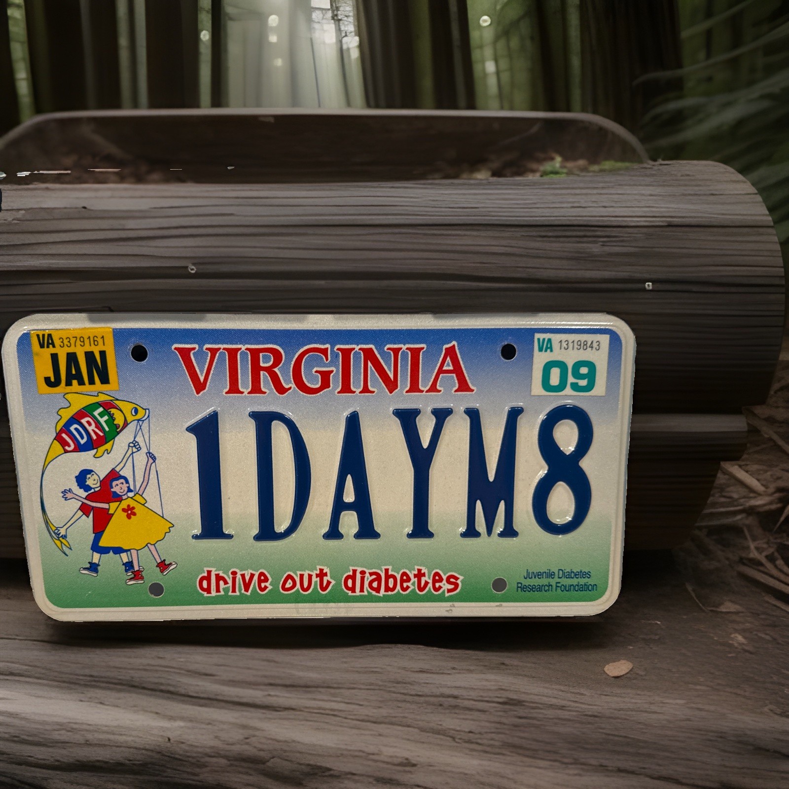 Exp Va Vanity Personalized License Plate Diabetes 1DAYM8 Funny Man Cave Tag Sign