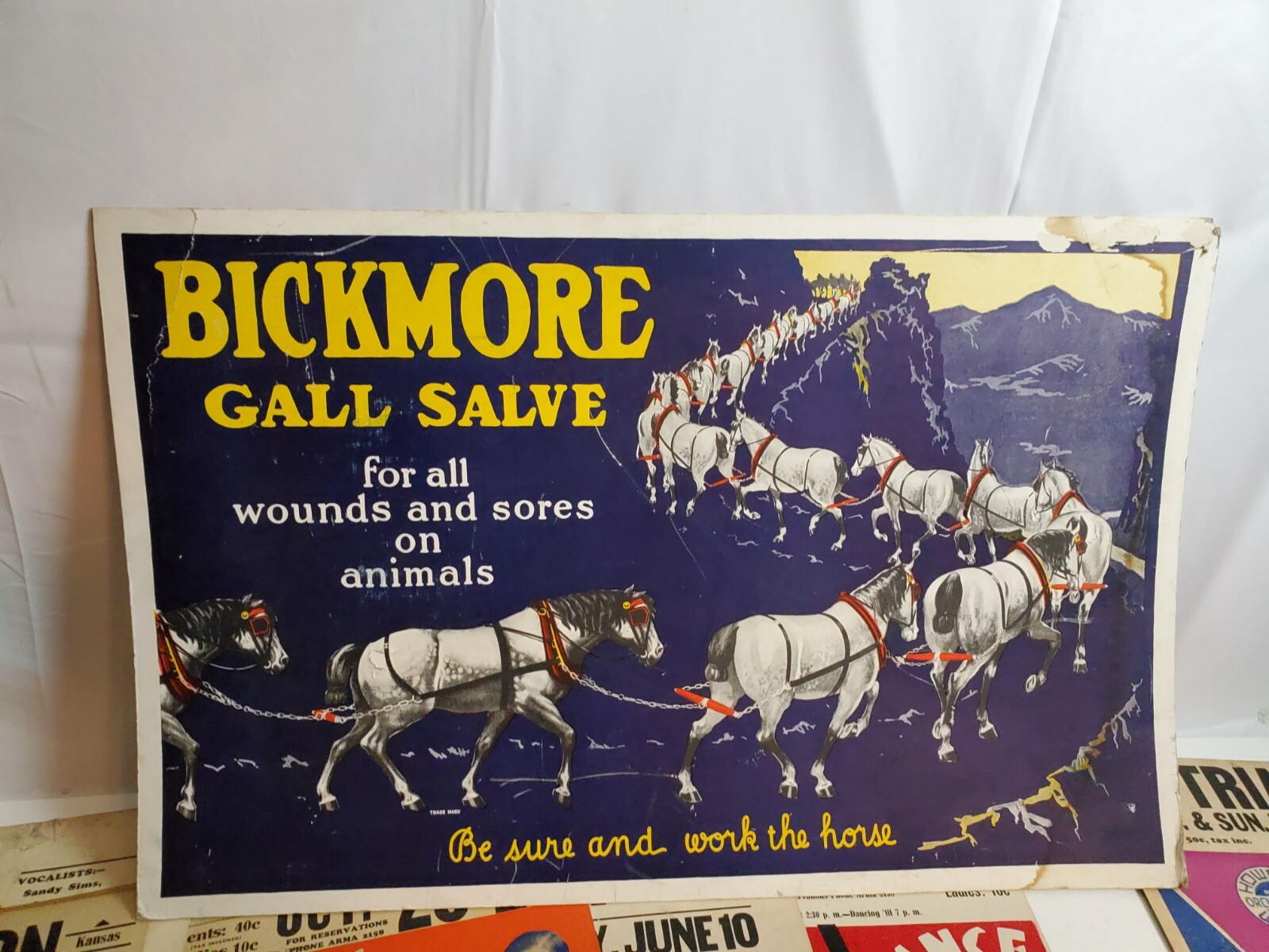 Bickmore Gall Salve Advertisment cardboard vtg sign rare 36 Bickmore Gall Salve Advertisment cardboard vtg sign rare 36