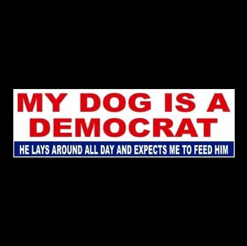 Funny Funny