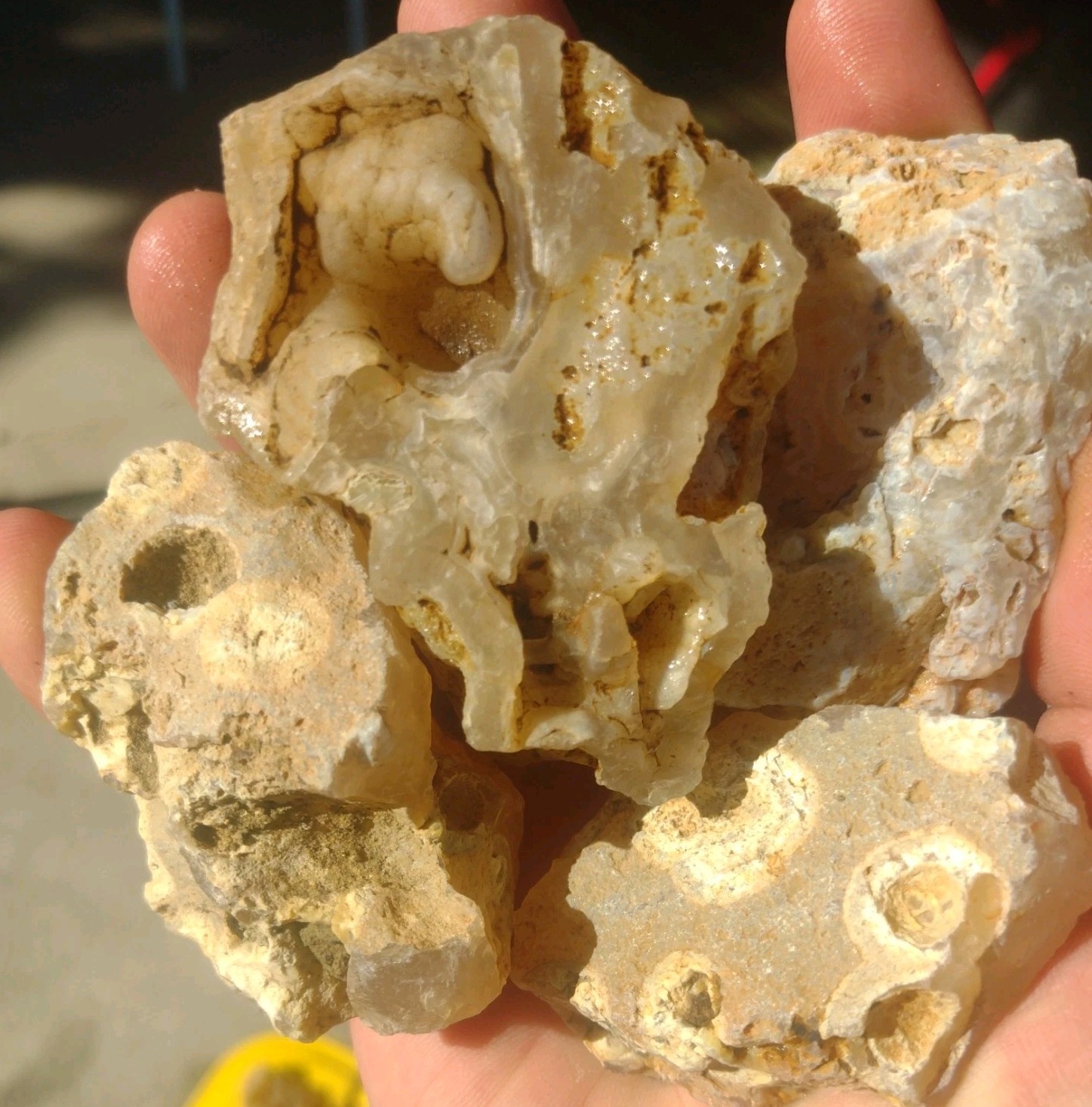 50 lb Rare central Oregon tube agate quality old stock lot 50 lb Rare central Oregon tube agate quality old stock lot