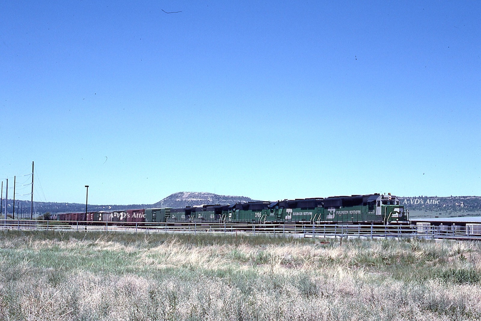 BIN Orig slide BN Burlington Northern action EMD GP50 3139 3125 Castle Rock CO BIN Orig slide BN Burlington Northern action EMD GP50 3139 3125 Castle Rock CO
