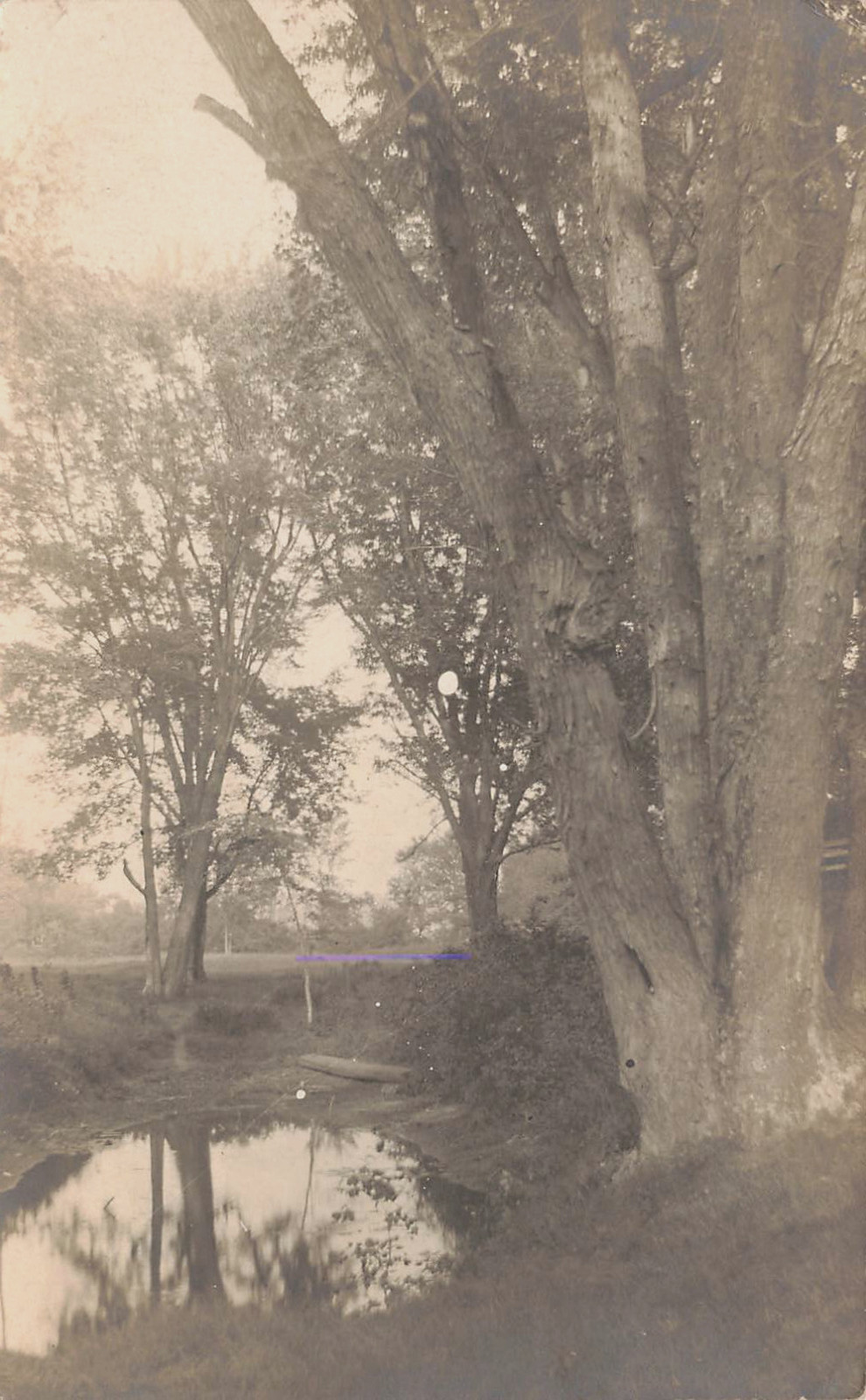 WATER STANDING BELOW TREES PEACEFUL COUNTRY SCENE REAL PHOTO POSTCARD 1906 RPPC WATER STANDING BELOW TREES PEACEFUL COUNTRY SCENE REAL PHOTO POSTCARD 1906 RPPC