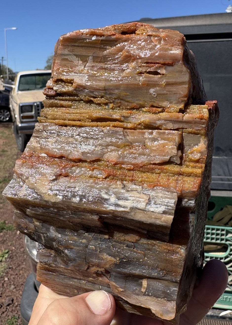 โ๏ธRRโ๏ธ: Top Quality Agate/Druzy Arizona Petrified Wood, 3.75 Lb ๐ โ๏ธRRโ๏ธ: Top Quality Agate/Druzy Arizona Petrified Wood, 3.75 Lb ๐