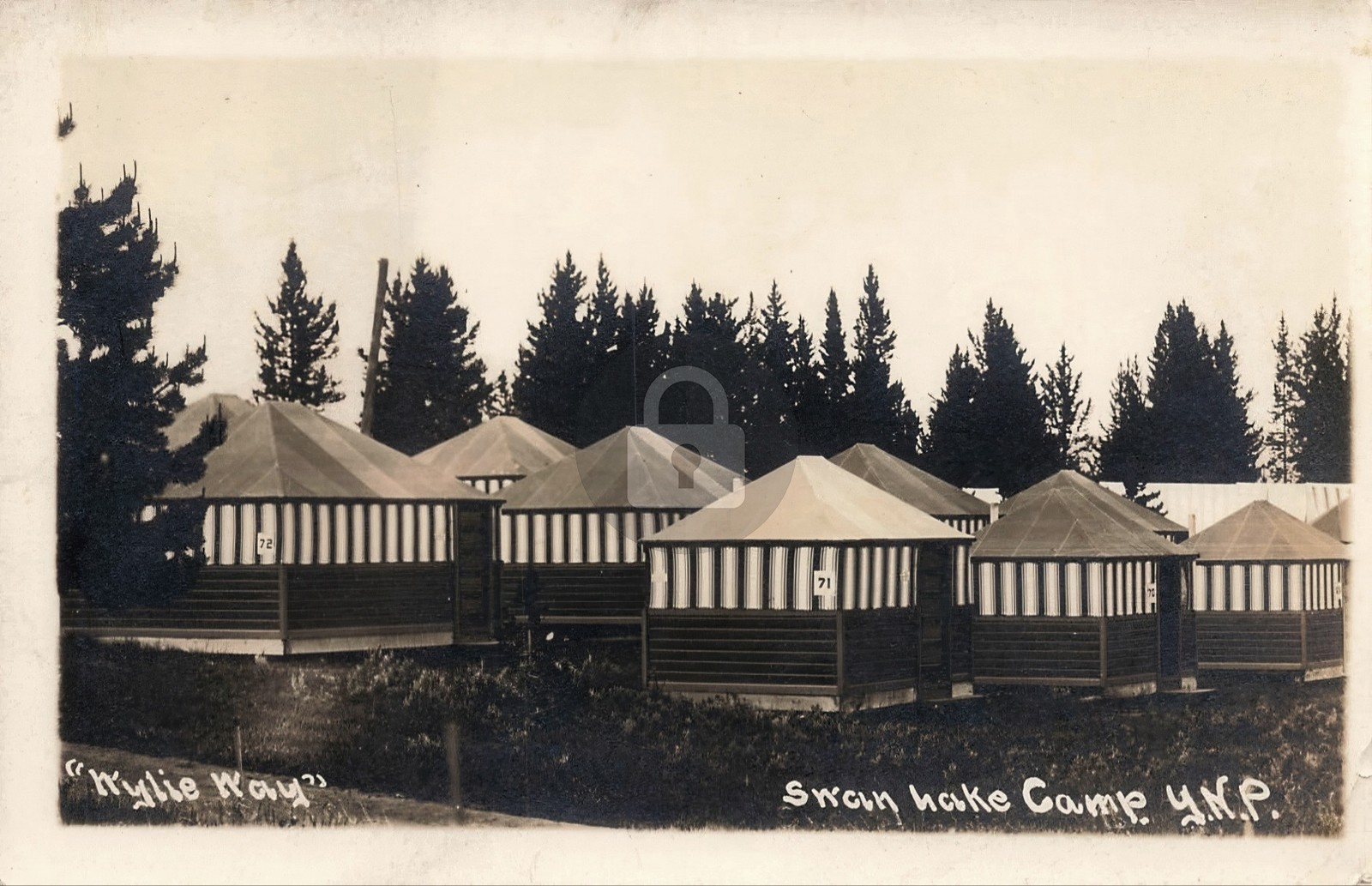 Yellowstone National Park Wylie's Way Swan Lake Camp 1914 RPPC Postcard COPY Yellowstone National Park Wylie's Way Swan Lake Camp 1914 RPPC Postcard COPY