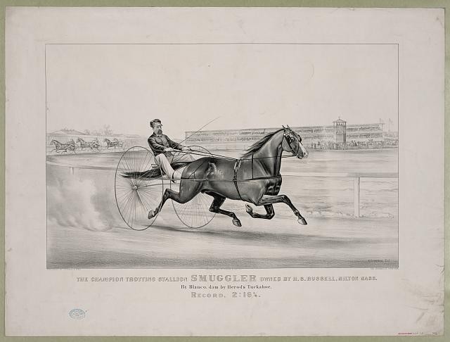 Photo:Milton MA Smuggler Champion Trotting Stallion 1876 Horse Racing