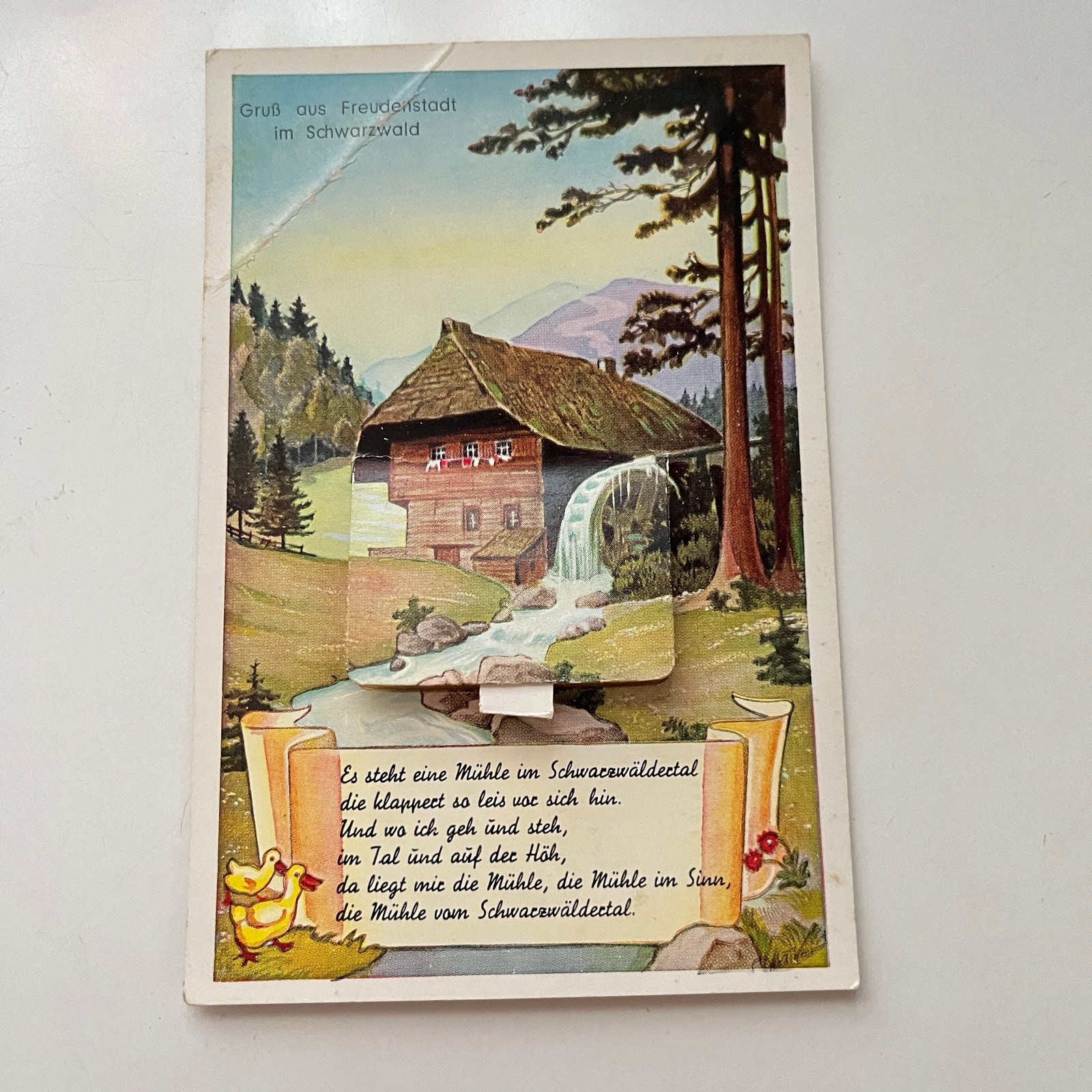 Gruß aus Freudenstadt im Schwarzwald Black Forest Vtg German Pop-up Postcard PY1