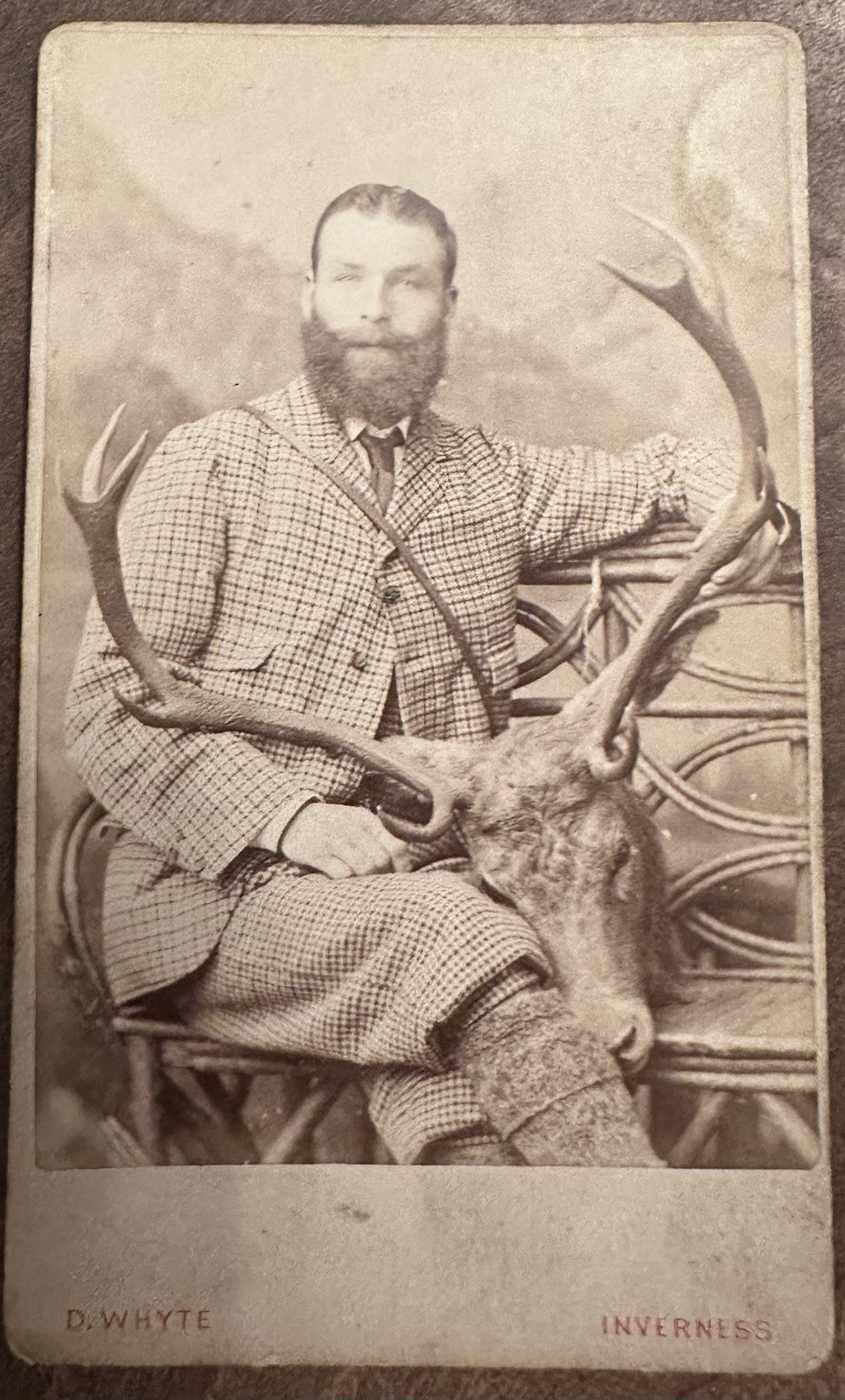 Antique Victorian CDV Photo Scottish Highland Stag Deer Hunting D Whyte Invernes