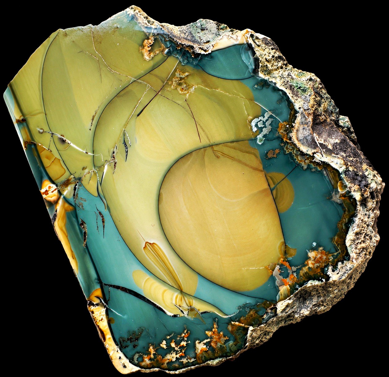 Old Stock Blue Mountain Jasper – Polished Face – Orbicular & Dendritic – 535g Old Stock Blue Mountain Jasper – Polished Face – Orbicular & Dendritic – 535g