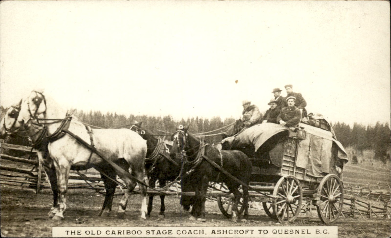 BC Stage Coach Cariboo Ashcroft Quesnel c1900s-10s Real Photo Postcard bhn BC Stage Coach Cariboo Ashcroft Quesnel c1900s-10s Real Photo Postcard bhn