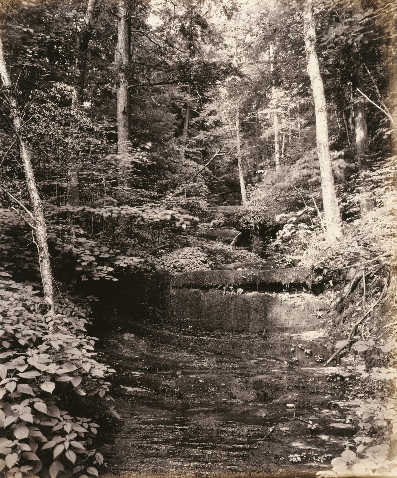 Owasco Lake Cascade Glen Vintage Railroad Photo Reprint Wall Art