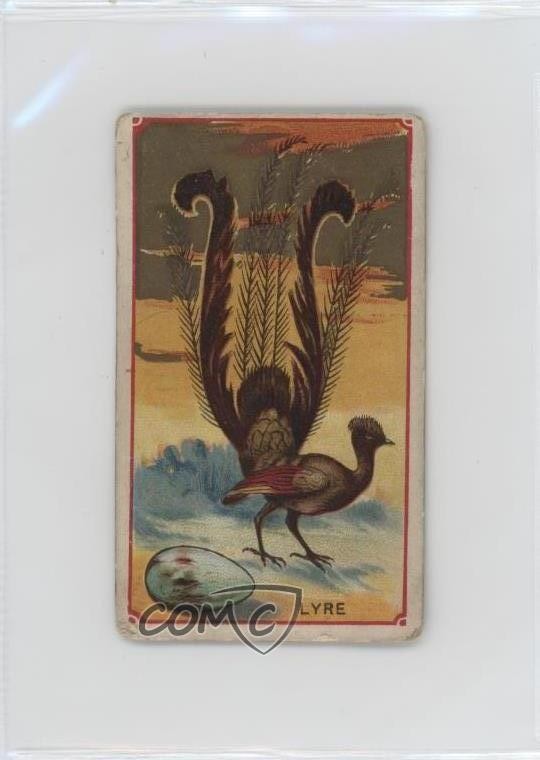 1910 ATC Bird Series T42 Mecca Factory 649 Lyre 0l4h
