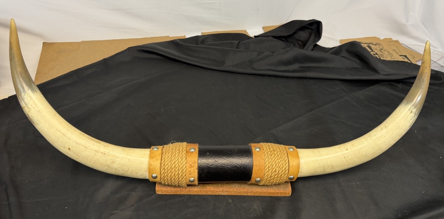 Vintage ANTIQUE MOUNTED STEER BULL HORNS 28 Inches Long Vintage ANTIQUE MOUNTED STEER BULL HORNS 28 Inches Long